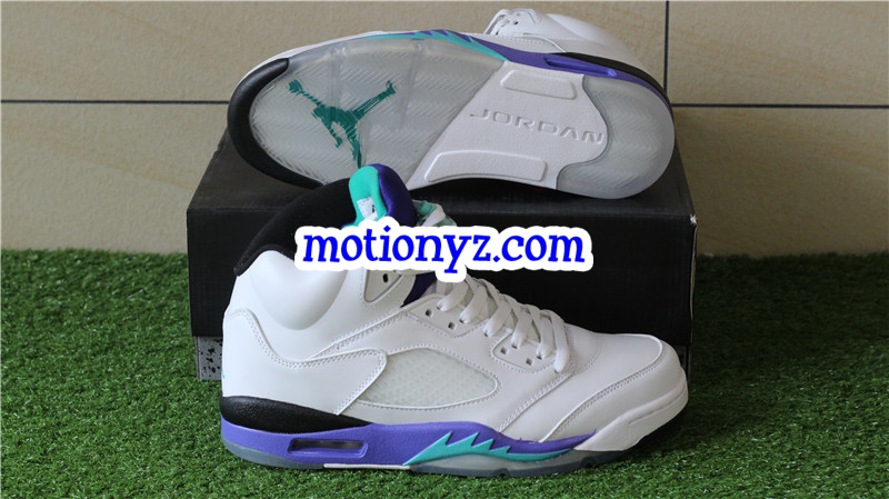 Authentic Air Jordan 5 Retro Grapes